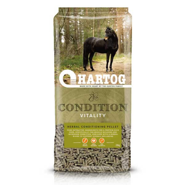 Hartog Condition
